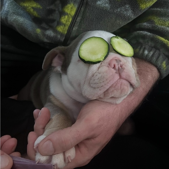 Meet your Posher, Jennifer - Picture 8 of 9